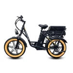 Bisiklèt livrezon manje 500W